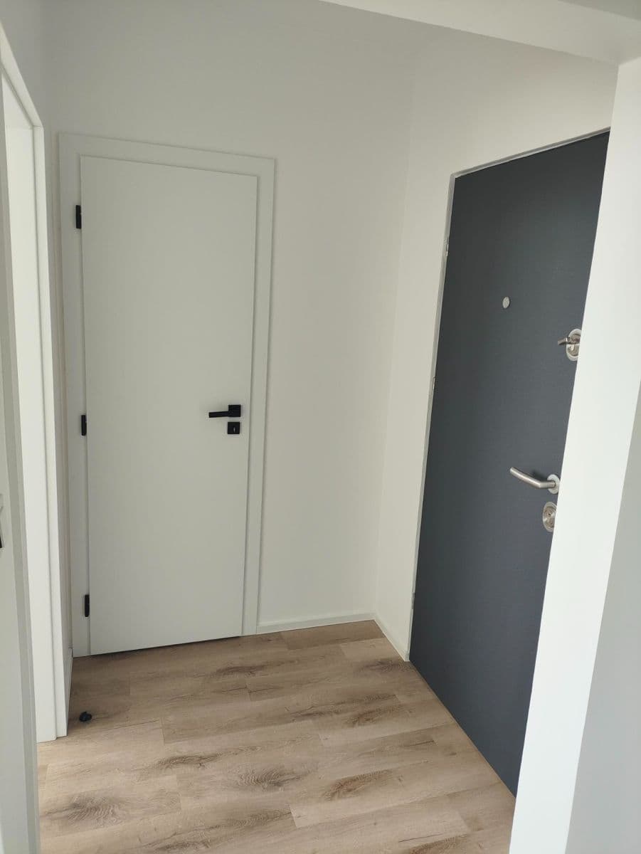 Pronájem bytu 3+1 63 m², Hluboká, Brno, Jihomoravský kraj Pronájem bytu 3+1 63 m², Hluboká, Brno, Jihomoravský kraj
