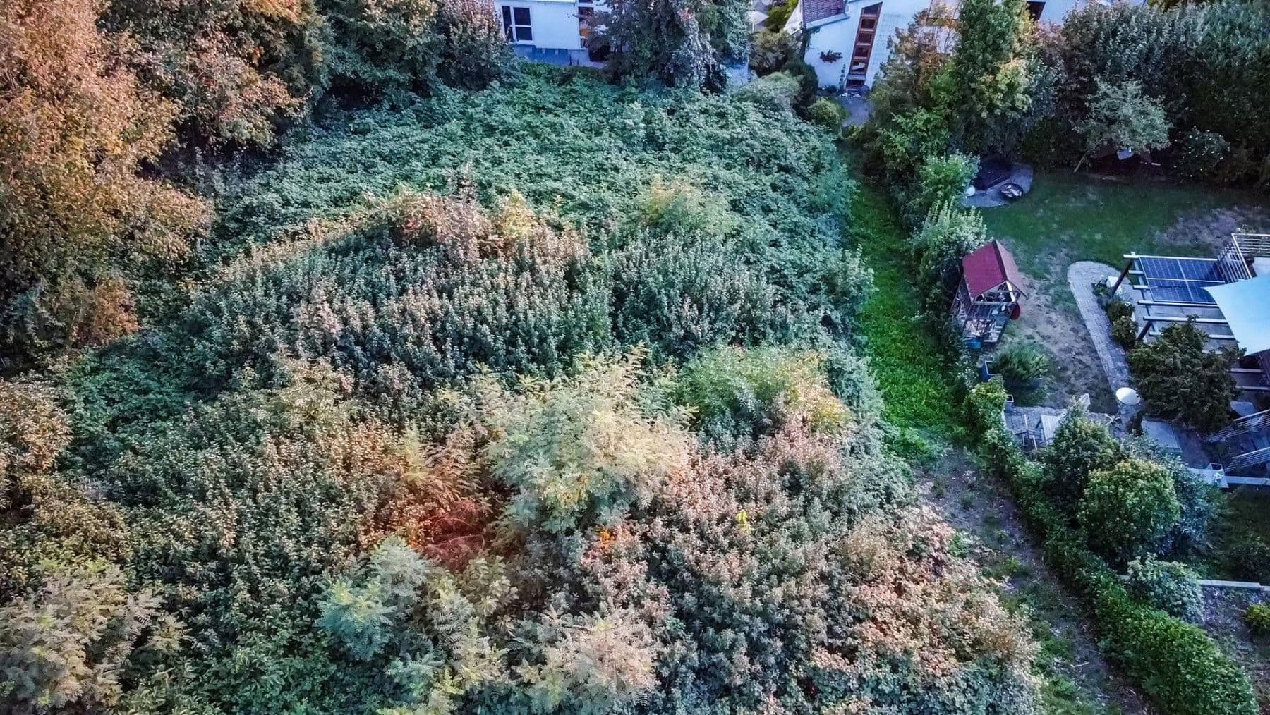 Prodej pozemku 786 m², Tettnang, Bádensko-Württembersko Prodej pozemku 786 m², Tettnang, Bádensko-Württembersko