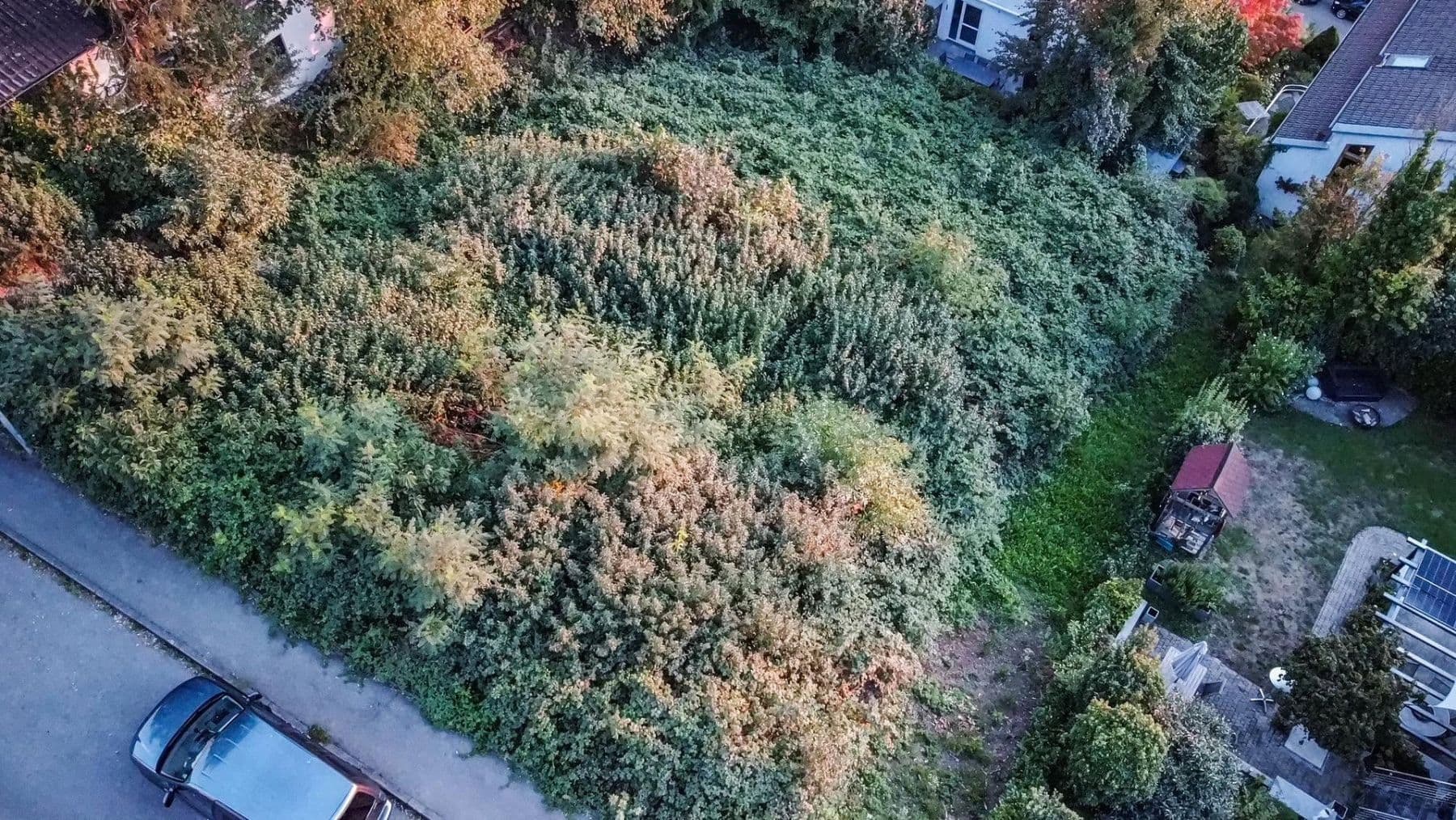 Prodej pozemku 786 m², Tettnang, Bádensko-Württembersko Prodej pozemku 786 m², Tettnang, Bádensko-Württembersko