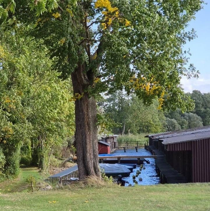 Prodej bytu 4+1 116 m², Am Alten Gutshof 3, Neuruppin, Braniborsko Prodej bytu 4+1 116 m², Am Alten Gutshof 3, Neuruppin, Braniborsko