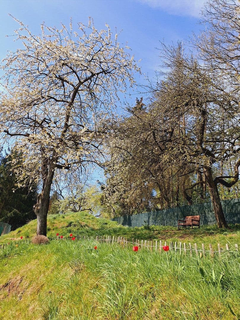 Prodej domu 130 m², pozemek 694 m², Hauptstraße 13b, Börsborn, Porýní-Falc Prodej domu 130 m², pozemek 694 m², Hauptstraße 13b, Börsborn, Porýní-Falc