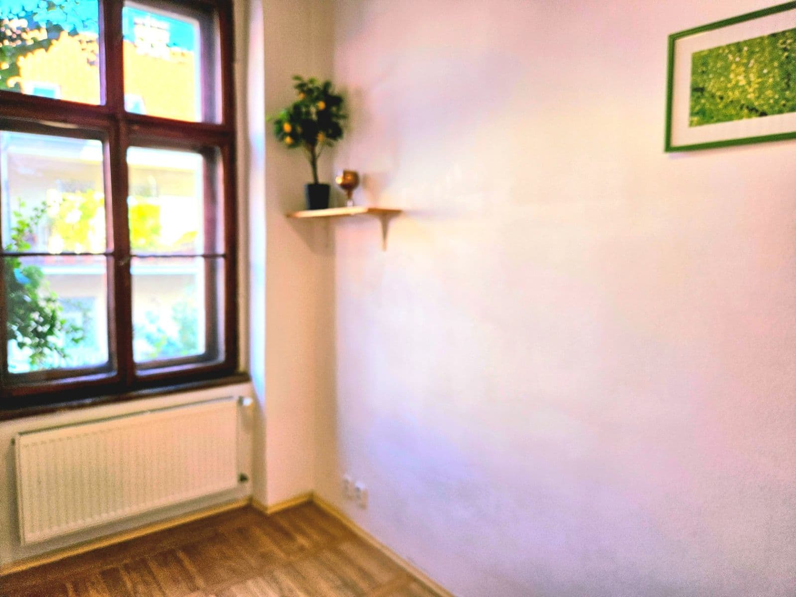 Pronájem bytu 2+1 40 m², Vlkova, Praha, Praha Pronájem bytu 2+1 40 m², Vlkova, Praha, Praha