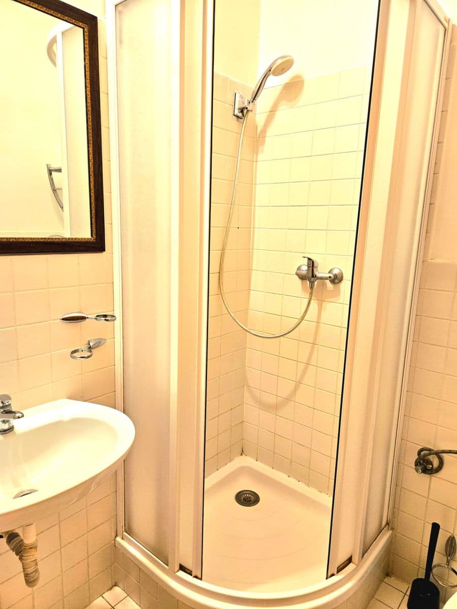 Pronájem bytu 1+kk 27 m², Vlkova, Praha, Praha Pronájem bytu 1+kk 27 m², Vlkova, Praha, Praha