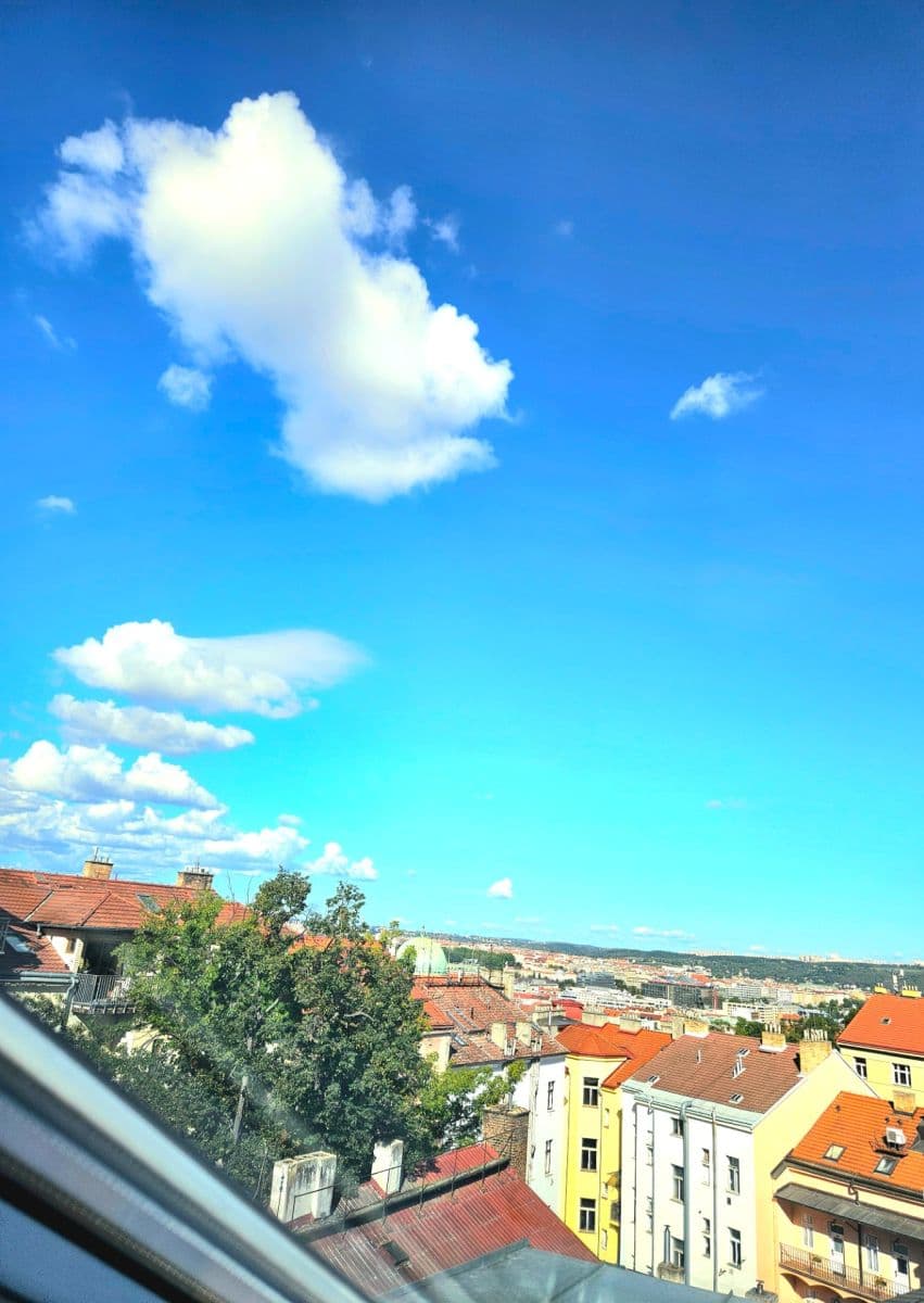 Pronájem bytu 2+1 59 m², Vlkova, Praha, Praha Pronájem bytu 2+1 59 m², Vlkova, Praha, Praha