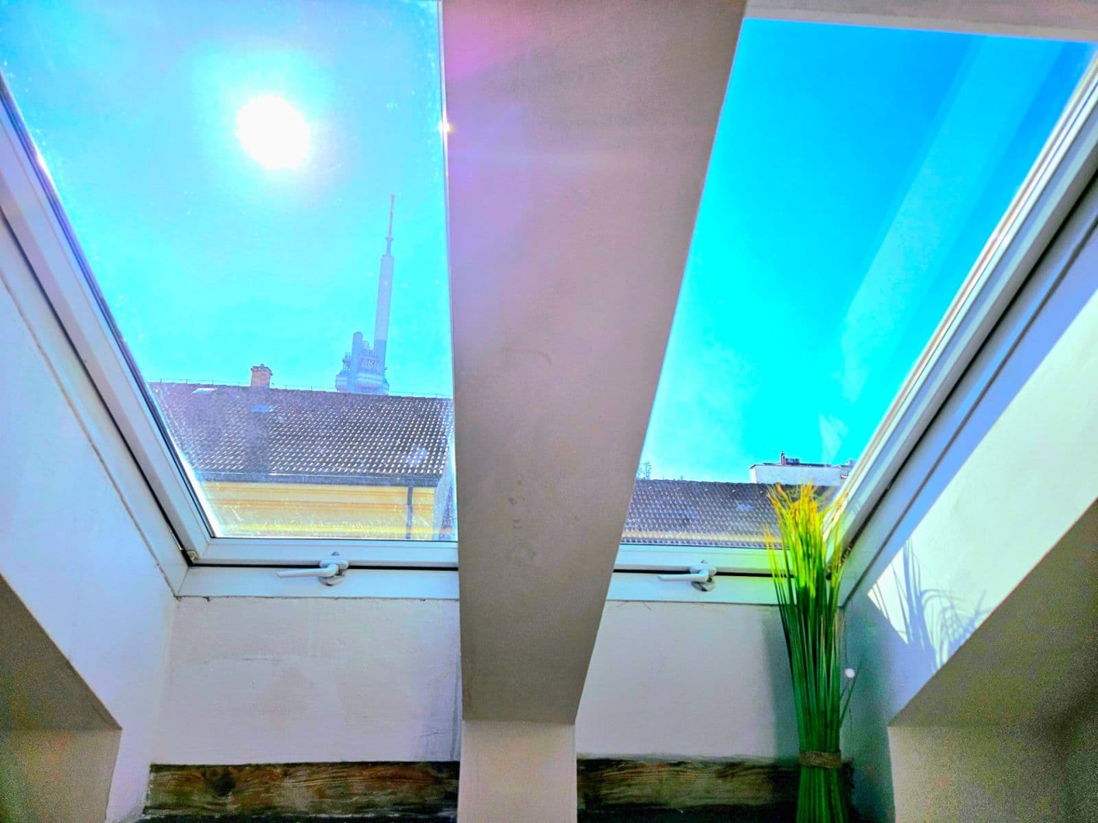Pronájem bytu 2+1 59 m², Vlkova, Praha, Praha Pronájem bytu 2+1 59 m², Vlkova, Praha, Praha
