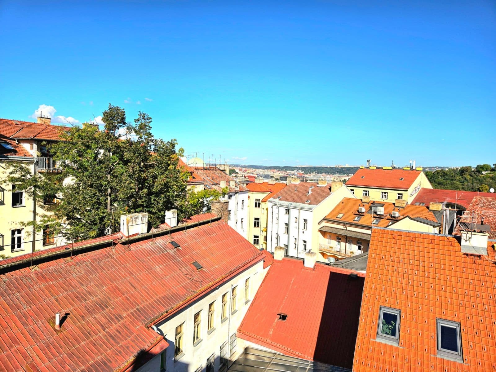 Pronájem bytu 2+1 59 m², Vlkova, Praha, Praha Pronájem bytu 2+1 59 m², Vlkova, Praha, Praha