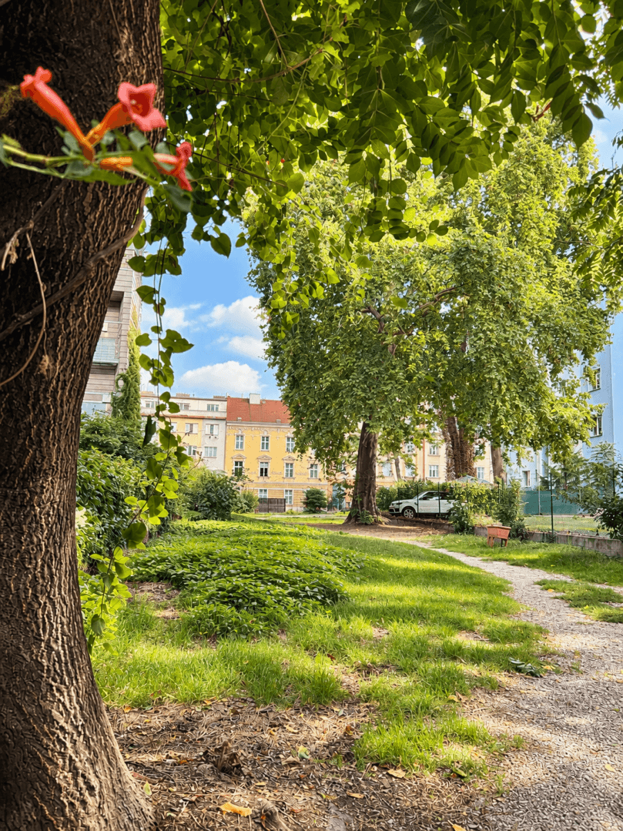 Pronájem bytu, Novákových, Praha, Praha Pronájem bytu, Novákových, Praha, Praha