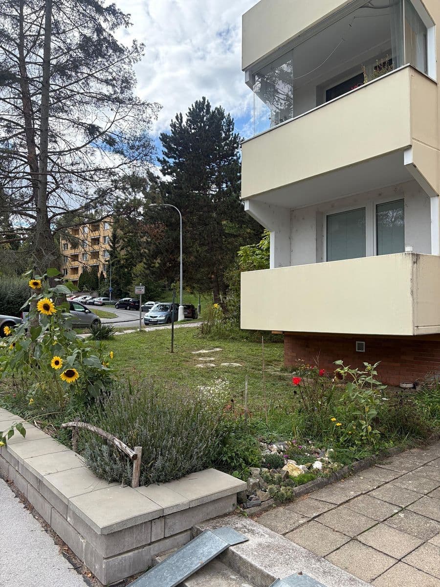 Prodej bytu 2+1 64 m², Borodinova, Brno, Jihomoravský kraj Prodej bytu 2+1 64 m², Borodinova, Brno, Jihomoravský kraj