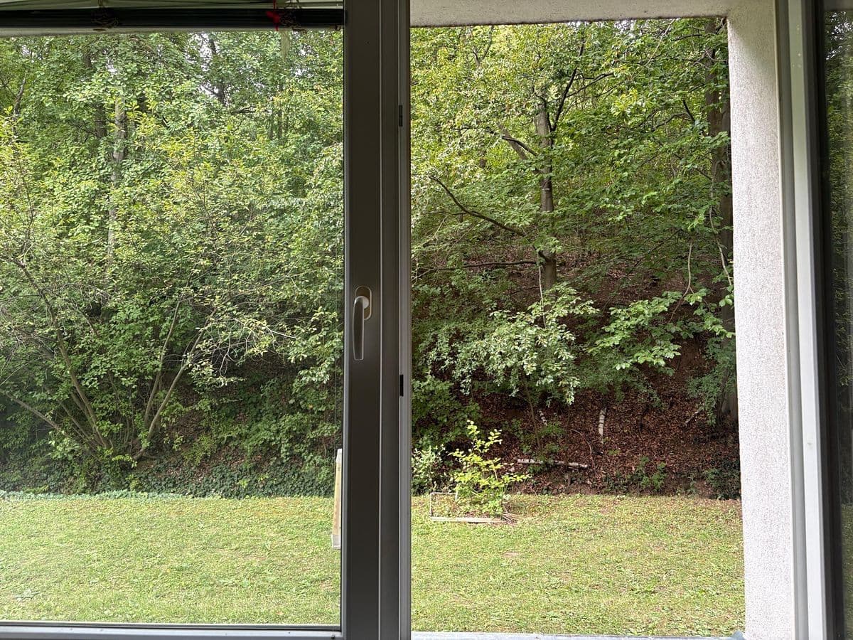 Prodej bytu 2+1 64 m², Borodinova, Brno, Jihomoravský kraj Prodej bytu 2+1 64 m², Borodinova, Brno, Jihomoravský kraj