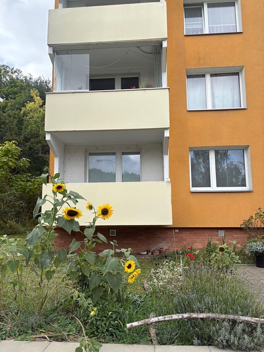 Prodej bytu 2+1 64 m², Borodinova, Brno, Jihomoravský kraj Prodej bytu 2+1 64 m², Borodinova, Brno, Jihomoravský kraj