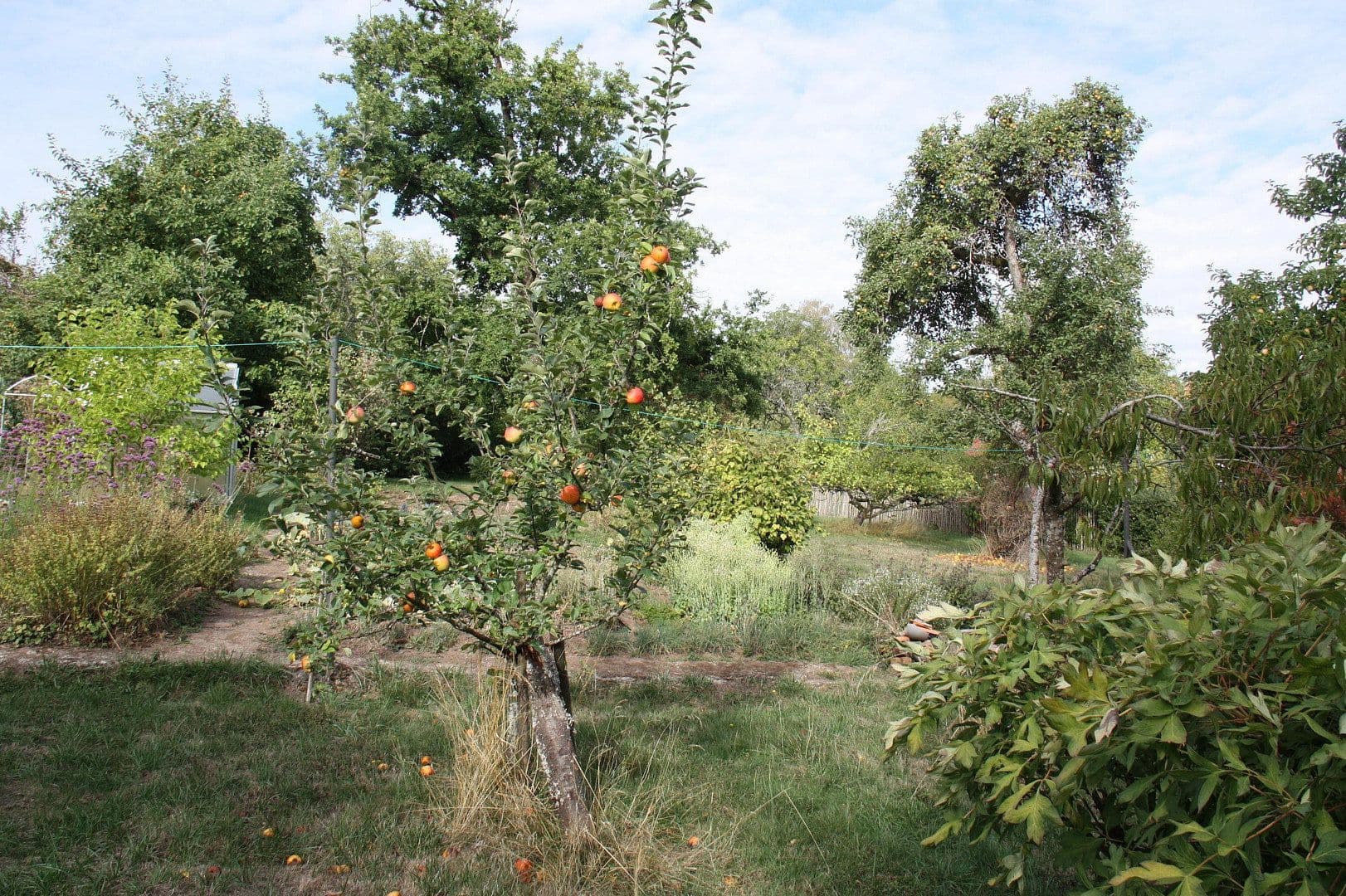 Prodej domu 380 m², pozemek 1.800 m², Ottweiler, Země Sársko Prodej domu 380 m², pozemek 1.800 m², Ottweiler, Země Sársko
