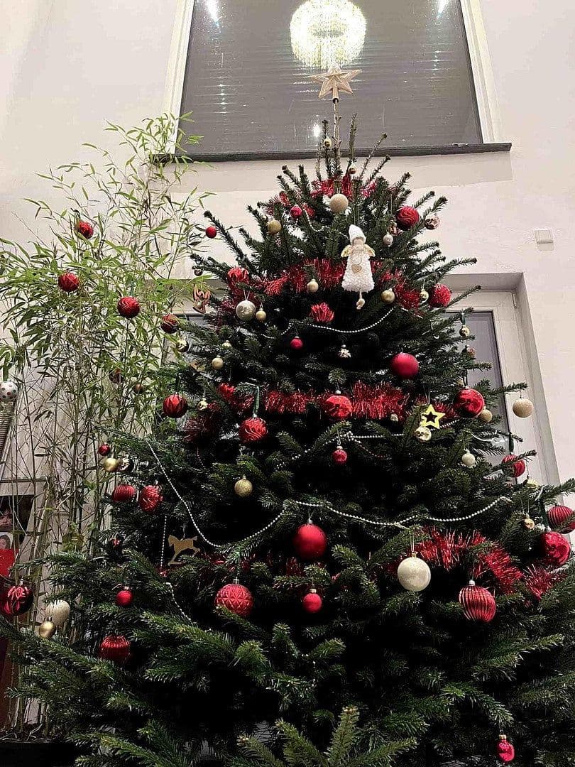 Prodej domu 378 m², pozemek 770 m², Butzbach, Hessen Prodej domu 378 m², pozemek 770 m², Butzbach, Hessen