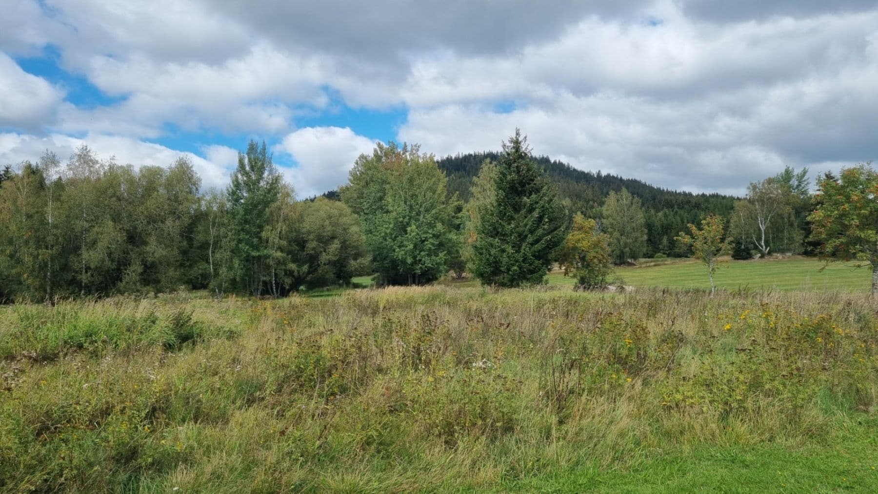 Prodej pozemku 3.812 m², Srní, Plzeňský kraj Prodej pozemku 3.812 m², Srní, Plzeňský kraj