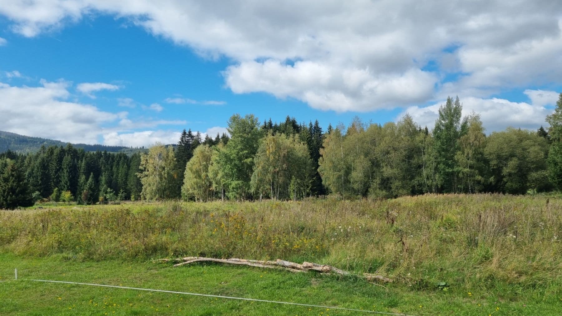 Prodej pozemku 3.812 m², Srní, Plzeňský kraj Prodej pozemku 3.812 m², Srní, Plzeňský kraj