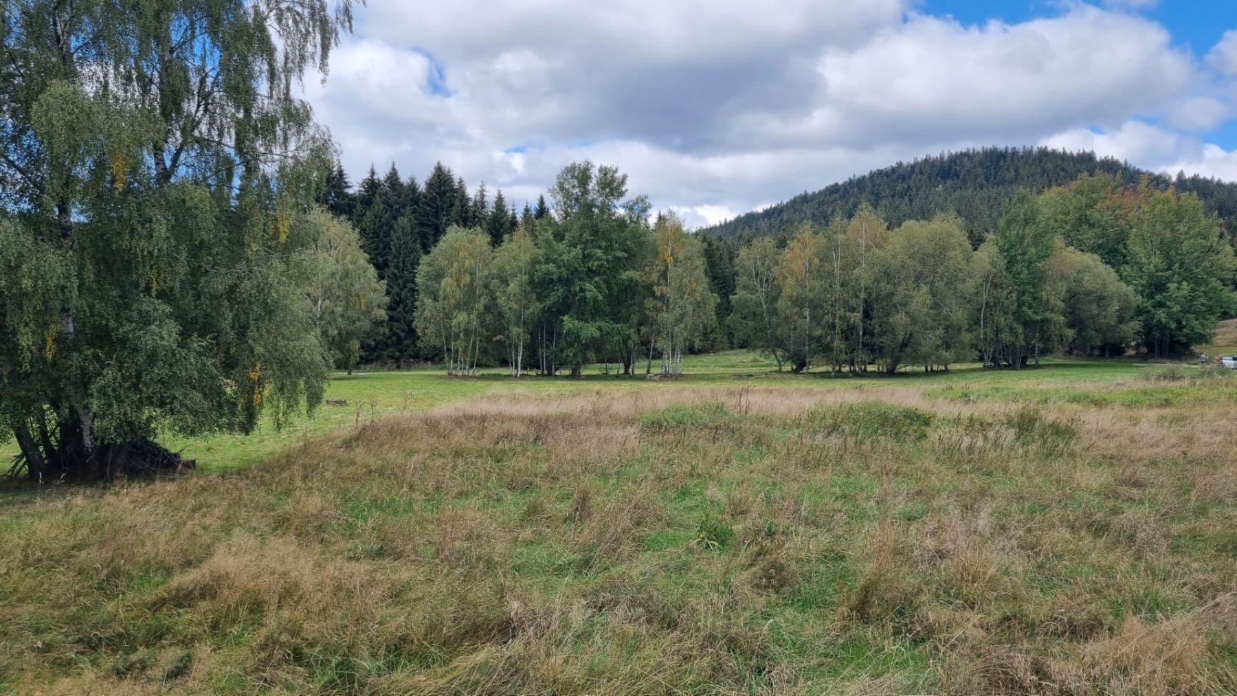 Prodej pozemku 3.812 m², Srní, Plzeňský kraj Prodej pozemku 3.812 m², Srní, Plzeňský kraj