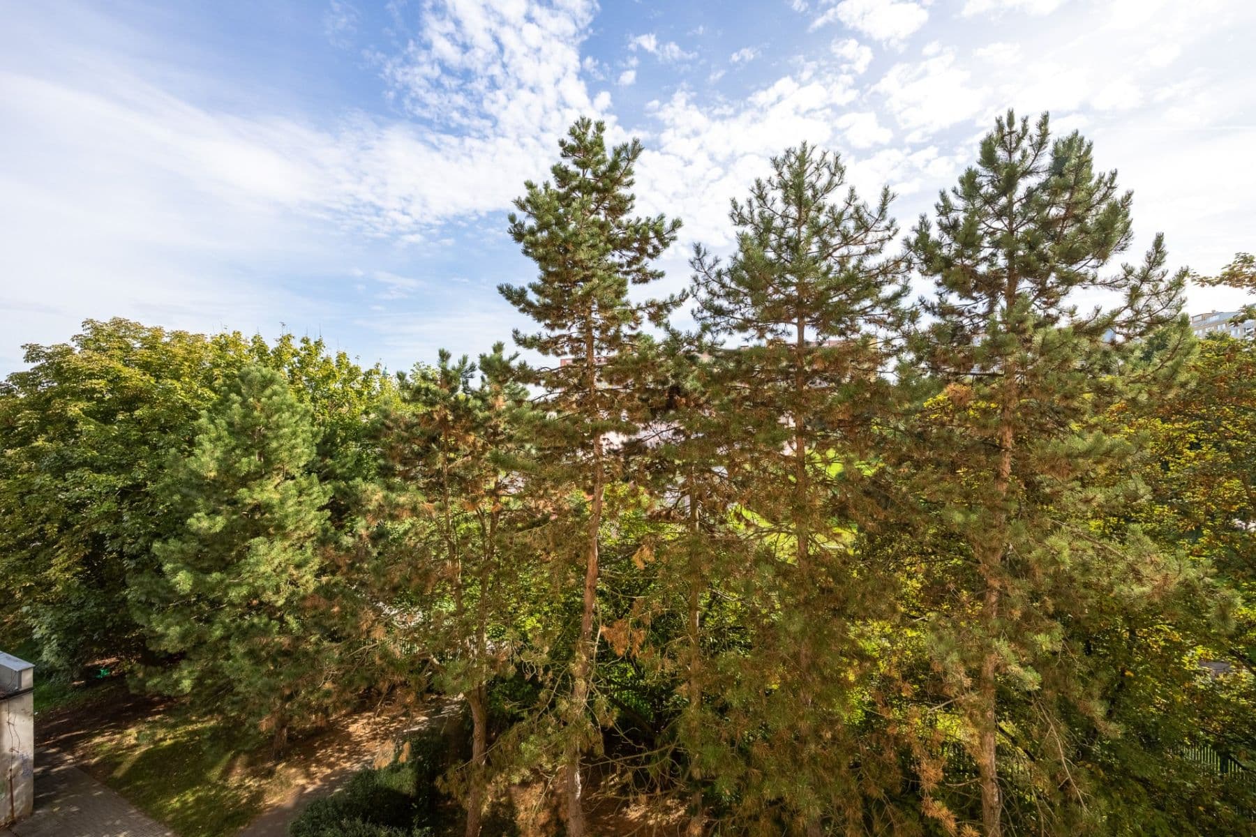 Prodej bytu 2+kk 45 m², Kostřínská, Praha, Praha Prodej bytu 2+kk 45 m², Kostřínská, Praha, Praha