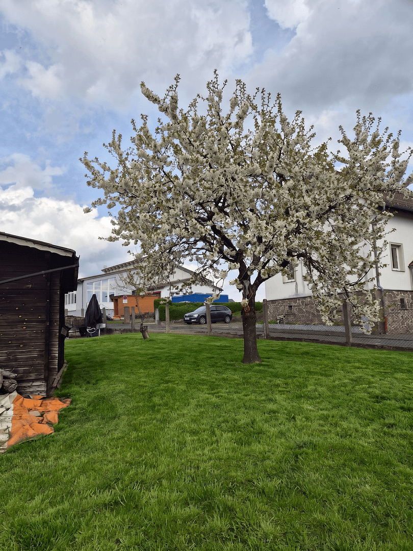 Prodej domu 136 m², pozemek 908 m², Fronhausen, Hessen Prodej domu 136 m², pozemek 908 m², Fronhausen, Hessen