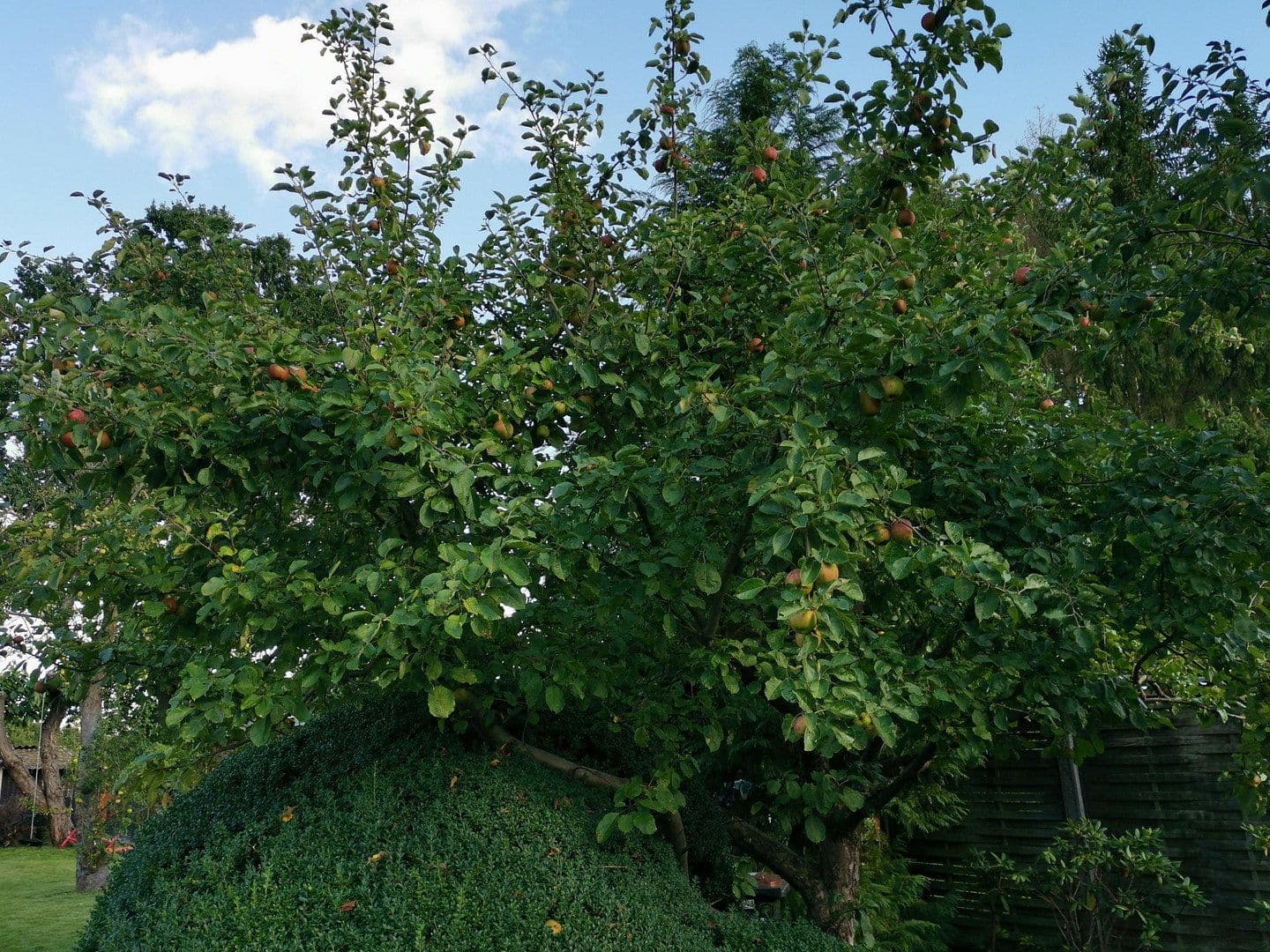 Prodej domu 200 m², pozemek 1.200 m², Hamfelde (Lauenburg), Šlesvicko-Holštýnsko Prodej domu 200 m², pozemek 1.200 m², Hamfelde (Lauenburg), Šlesvicko-Holštýnsko