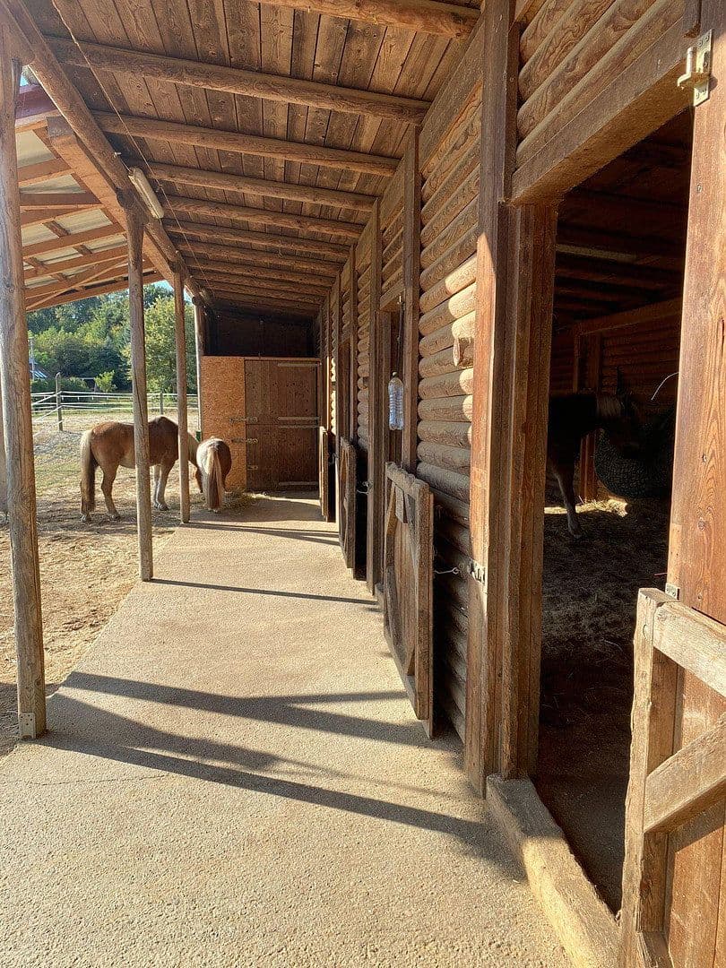 Prodej domu 245 m², pozemek 11.000 m², Kleinmürbisch 30, Kleinmürbisch, Hradsko Prodej domu 245 m², pozemek 11.000 m², Kleinmürbisch 30, Kleinmürbisch, Hradsko