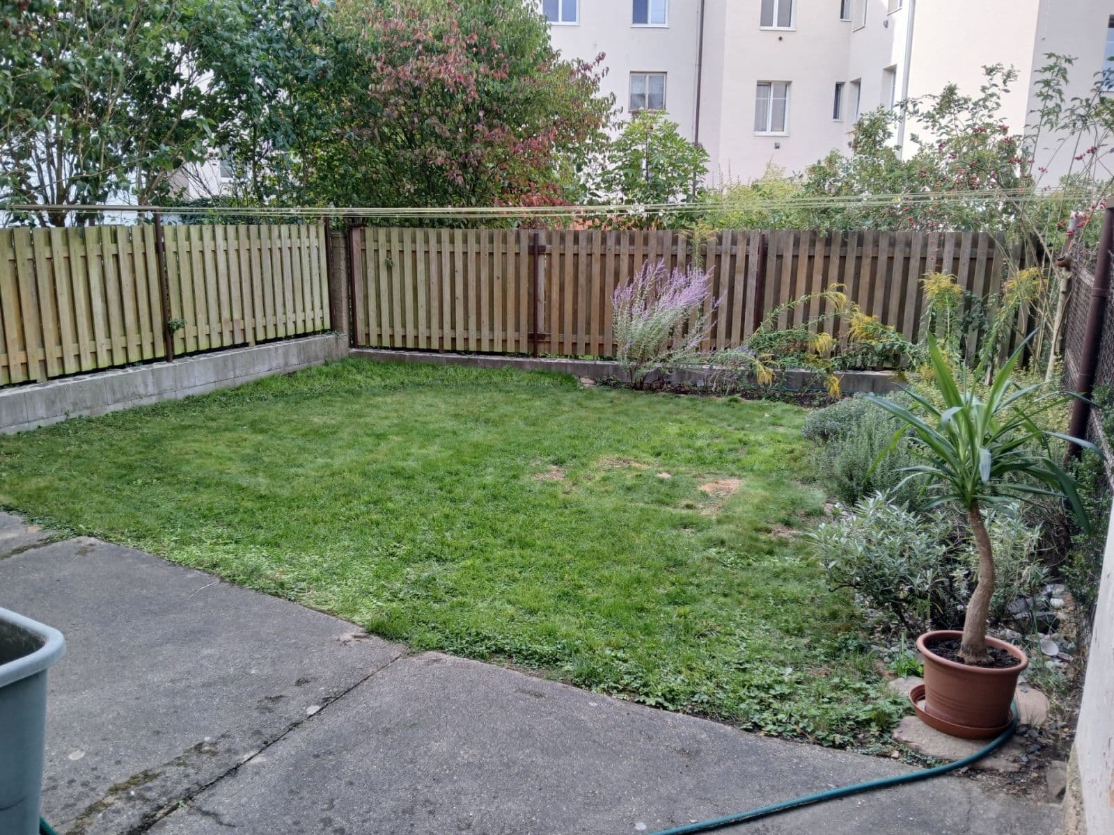 Pronájem bytu 1+1 50 m², Gruzínská, Plzeň, Plzeňský kraj Pronájem bytu 1+1 50 m², Gruzínská, Plzeň, Plzeňský kraj