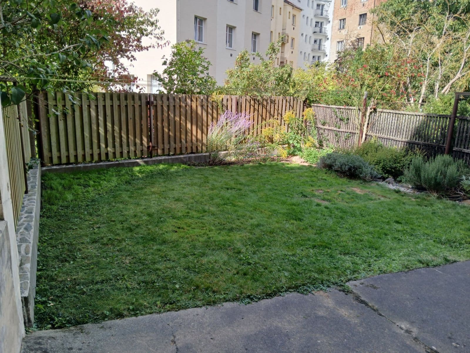 Pronájem bytu 1+1 50 m², Gruzínská, Plzeň, Plzeňský kraj Pronájem bytu 1+1 50 m², Gruzínská, Plzeň, Plzeňský kraj