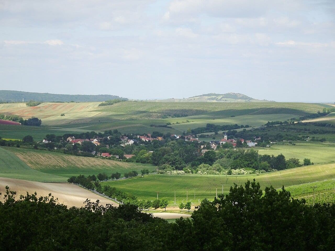 Prodej pozemku 447 m², Valtice, Jihomoravský kraj Prodej pozemku 447 m², Valtice, Jihomoravský kraj