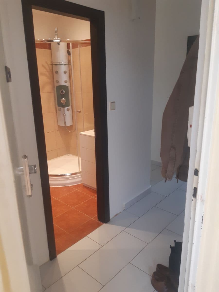 Pronájem bytu 2+1 54 m², Záhřebská, Brno, Jihomoravský kraj Pronájem bytu 2+1 54 m², Záhřebská, Brno, Jihomoravský kraj