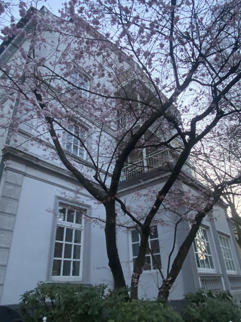 Pronájem bytu 3+kk 80 m², Wiesenstraße 47, Hamburg, Hamburg Pronájem bytu 3+kk 80 m², Wiesenstraße 47, Hamburg, Hamburg