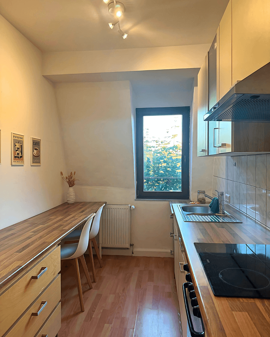 Pronájem bytu 18 m², Paumgartnerstraße 26, Nürnberg-Gostenhof, Bavorsko Pronájem bytu 18 m², Paumgartnerstraße 26, Nürnberg-Gostenhof, Bavorsko