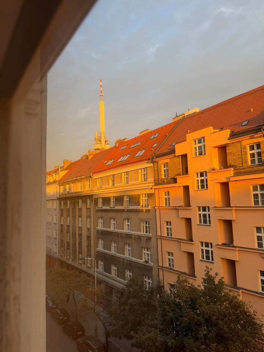Pronájem bytu 2+kk 42 m², Ježkova, Praha, Praha Pronájem bytu 2+kk 42 m², Ježkova, Praha, Praha
