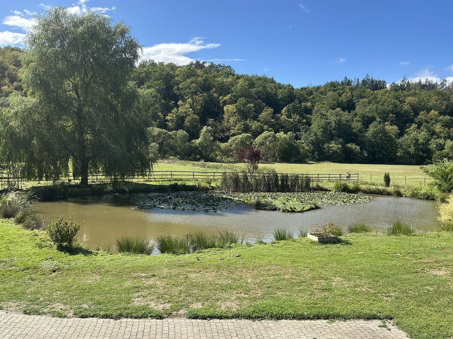 Prodej domu 140 m², pozemek 47.200 m², Kirchberg, Porýní-Falc Prodej domu 140 m², pozemek 47.200 m², Kirchberg, Porýní-Falc