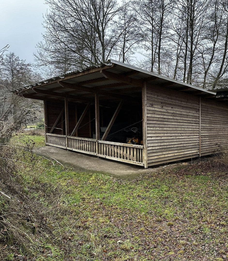 Prodej domu 140 m², pozemek 47.200 m², Kirchberg, Porýní-Falc Prodej domu 140 m², pozemek 47.200 m², Kirchberg, Porýní-Falc