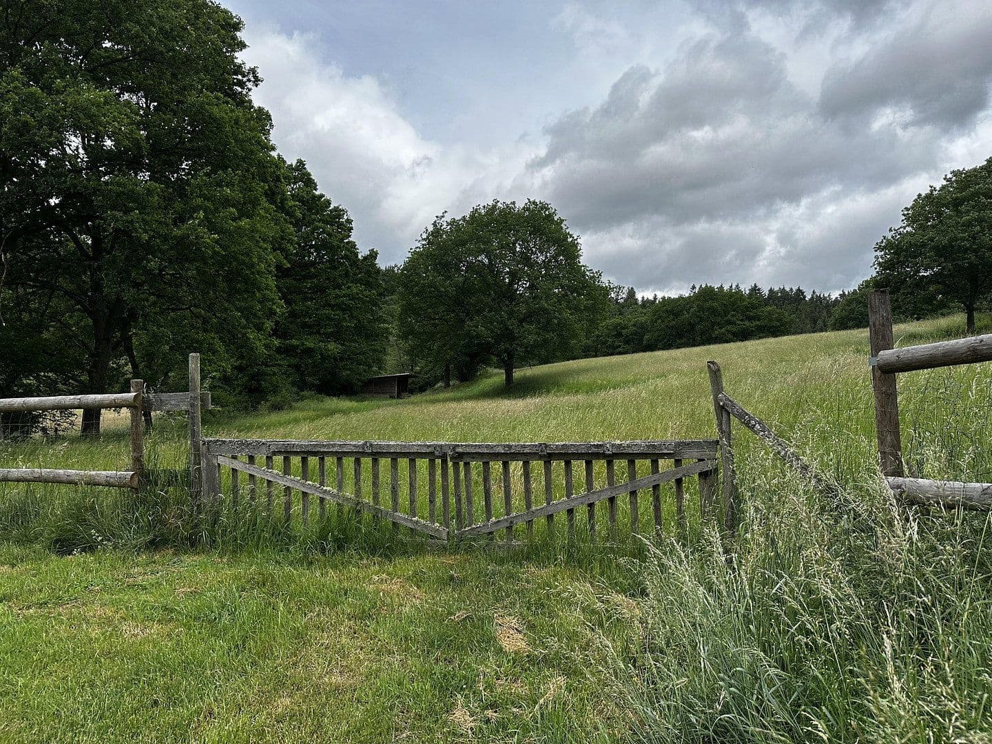 Prodej domu 140 m², pozemek 47.200 m², Kirchberg, Porýní-Falc Prodej domu 140 m², pozemek 47.200 m², Kirchberg, Porýní-Falc