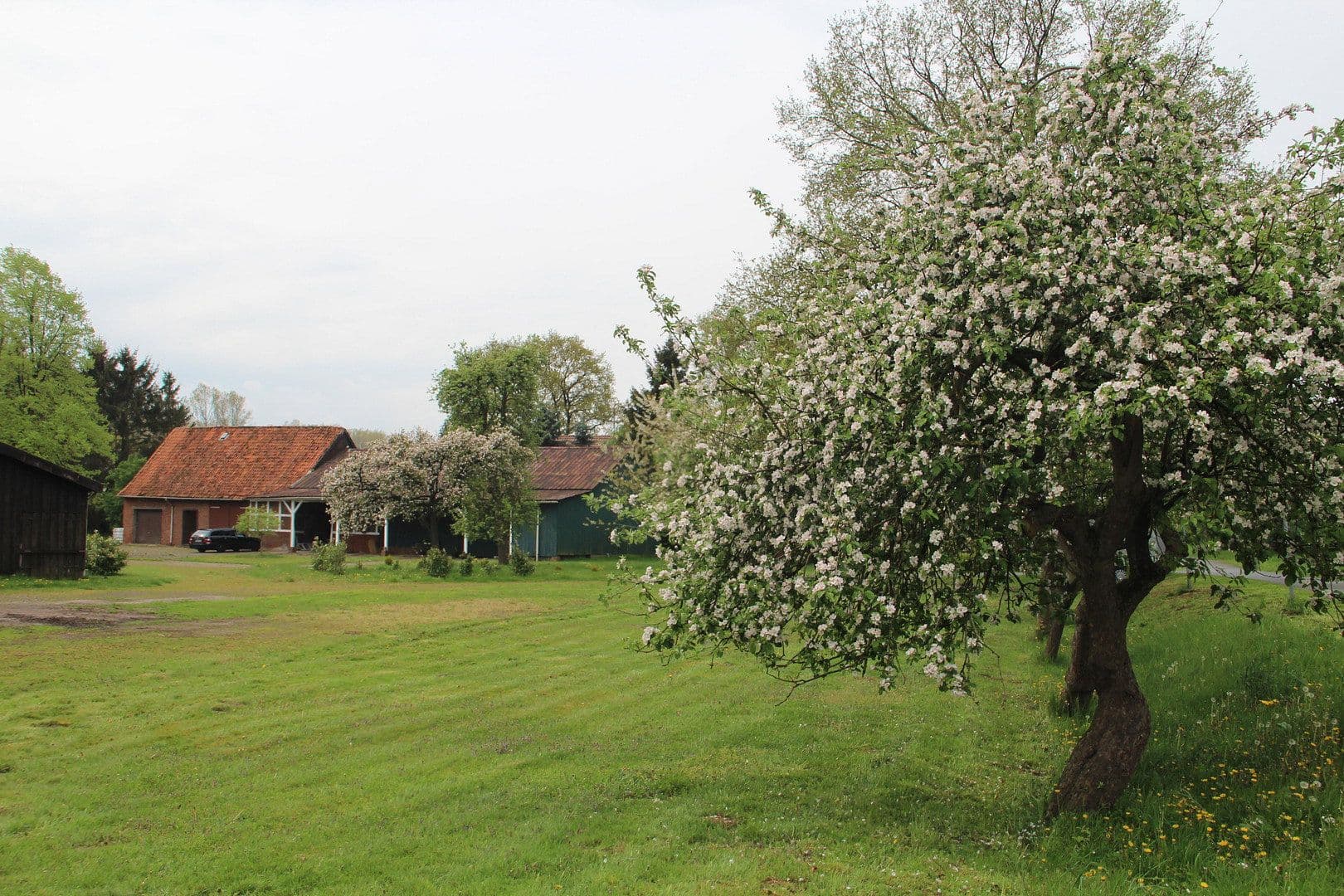 Prodej domu 135 m², pozemek 14.013 m², Bremervörde, Dolní Sasko Prodej domu 135 m², pozemek 14.013 m², Bremervörde, Dolní Sasko