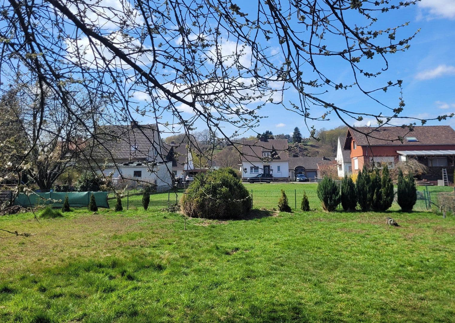 Prodej domu 155 m², pozemek 1.002 m², Bodenfelde, Dolní Sasko Prodej domu 155 m², pozemek 1.002 m², Bodenfelde, Dolní Sasko