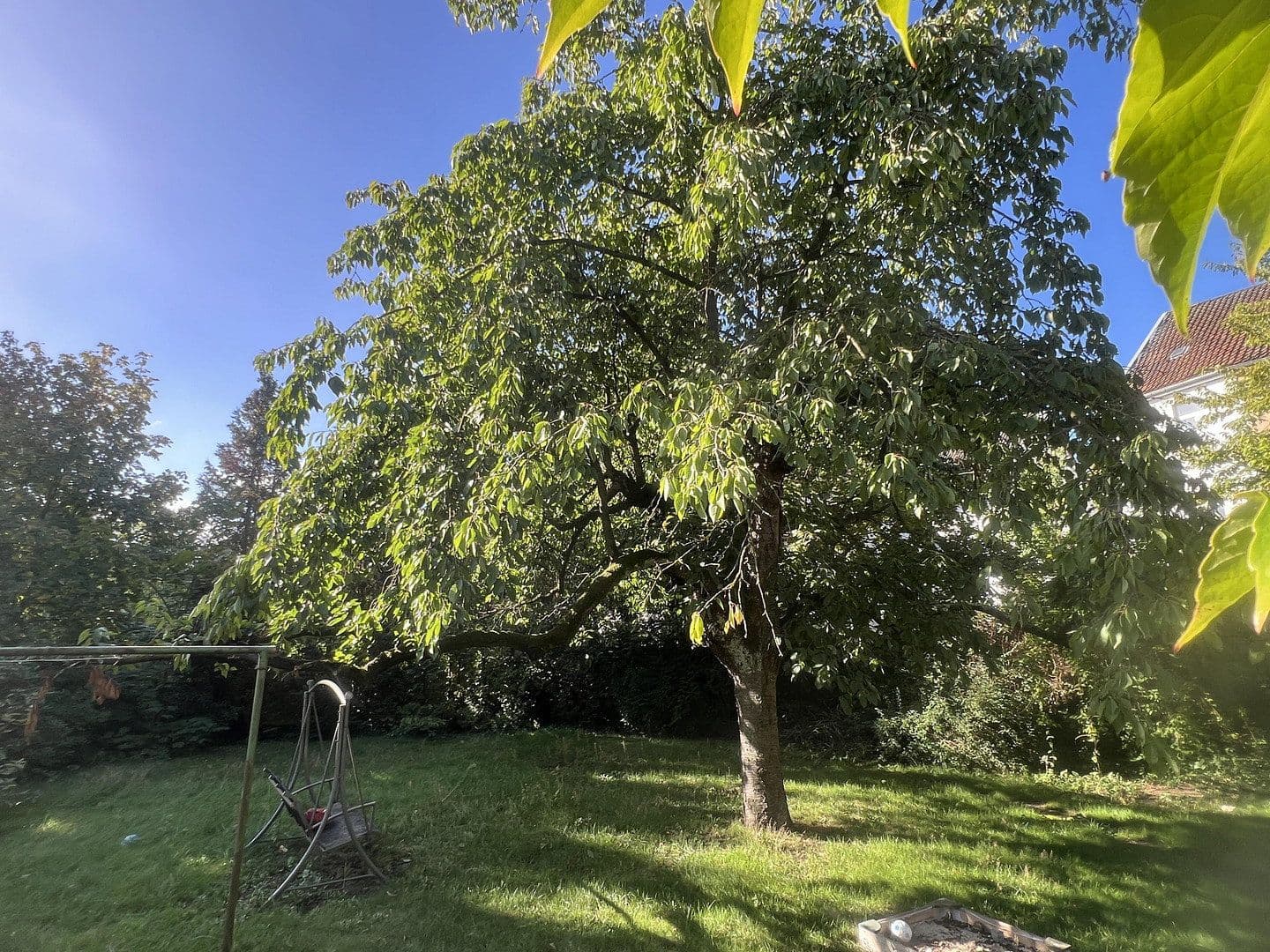 Prodej domu 334 m², pozemek 1.268 m², Hannoversche Straße 30, Seelze, Dolní Sasko Prodej domu 334 m², pozemek 1.268 m², Hannoversche Straße 30, Seelze, Dolní Sasko