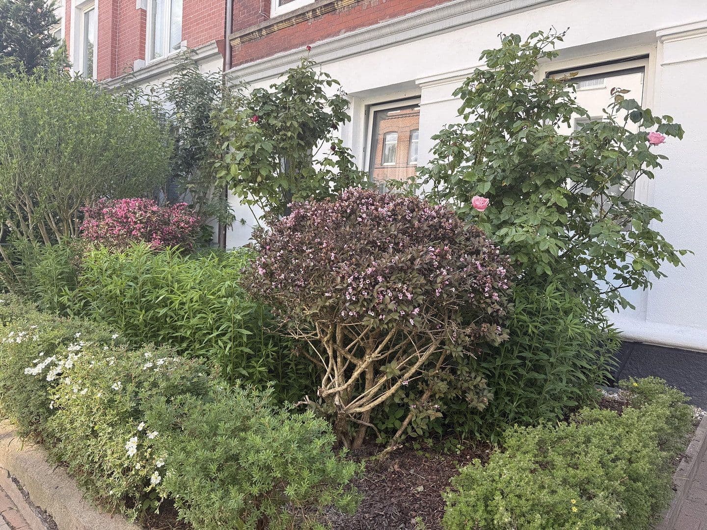 Pronájem bytu 2+1 47 m², Fockstrasse 26, Kiel, Šlesvicko-Holštýnsko Pronájem bytu 2+1 47 m², Fockstrasse 26, Kiel, Šlesvicko-Holštýnsko