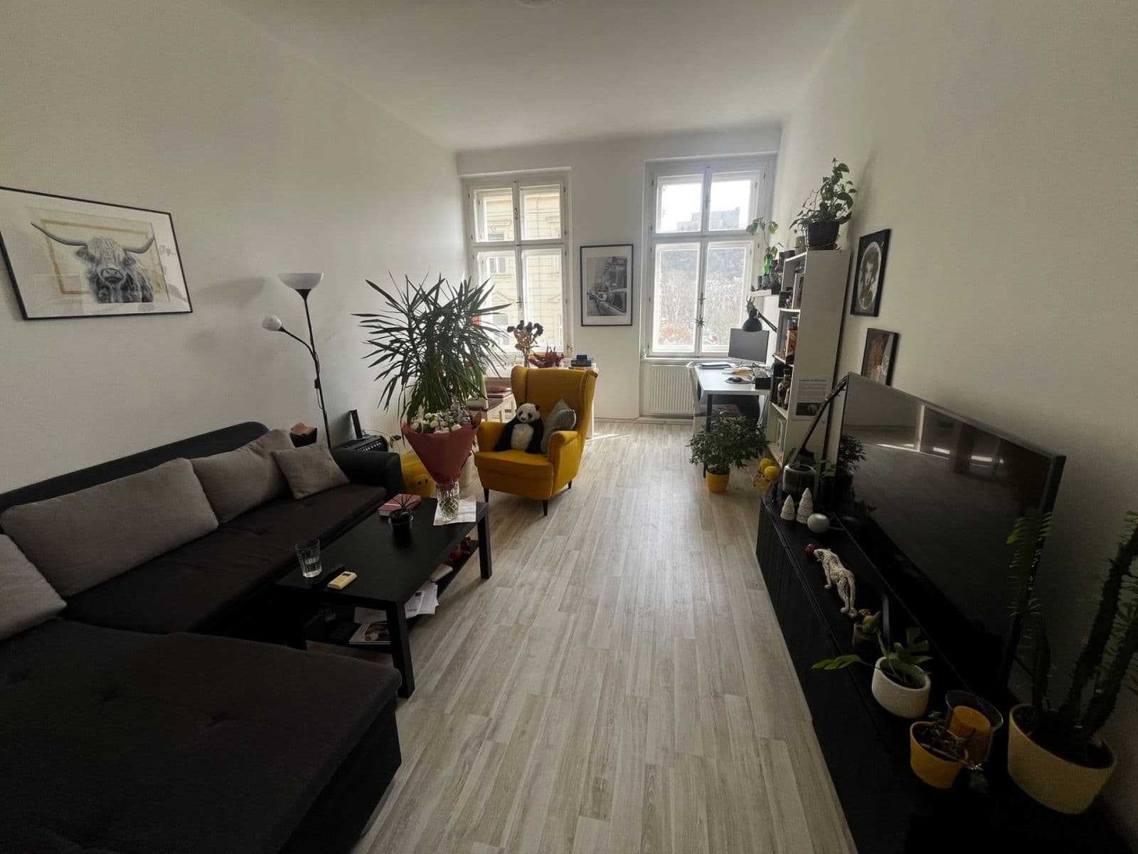 Pronájem bytu 2+1 65 m², Sokolovská, Praha, Praha Pronájem bytu 2+1 65 m², Sokolovská, Praha, Praha