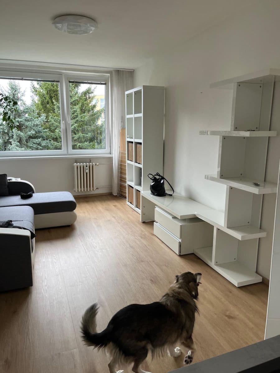 Pronájem bytu 2+kk 45 m², Chotovická, Praha, Praha Pronájem bytu 2+kk 45 m², Chotovická, Praha, Praha