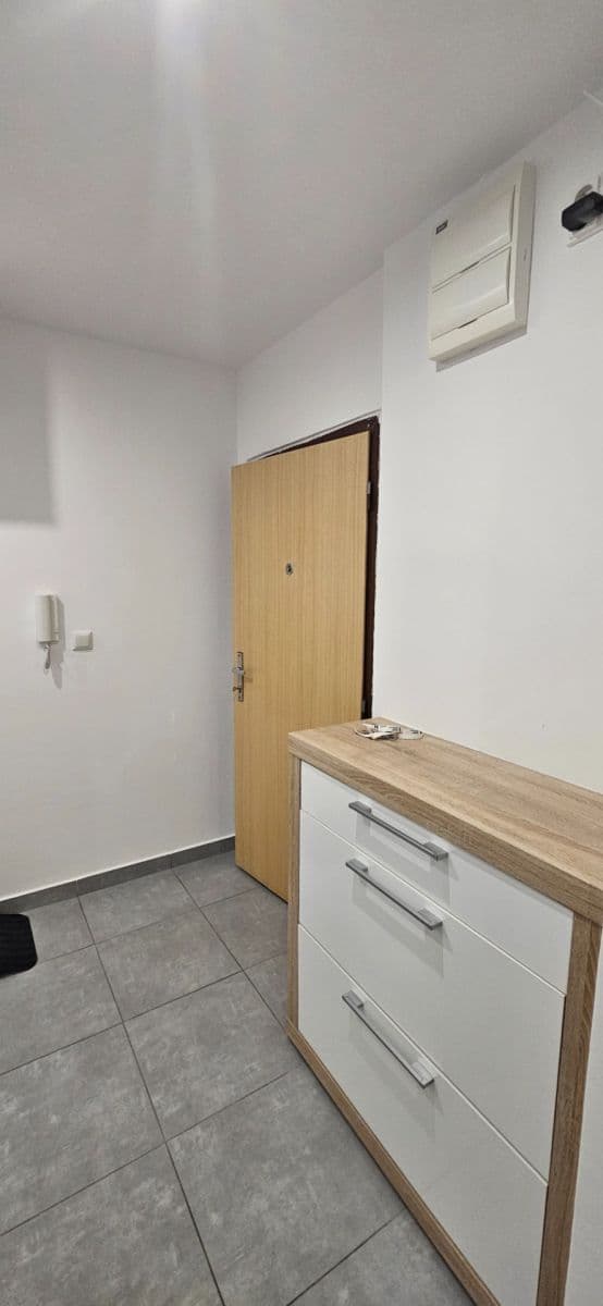 Pronájem bytu 1+kk 46 m², Dědinova, Praha, Praha Pronájem bytu 1+kk 46 m², Dědinova, Praha, Praha