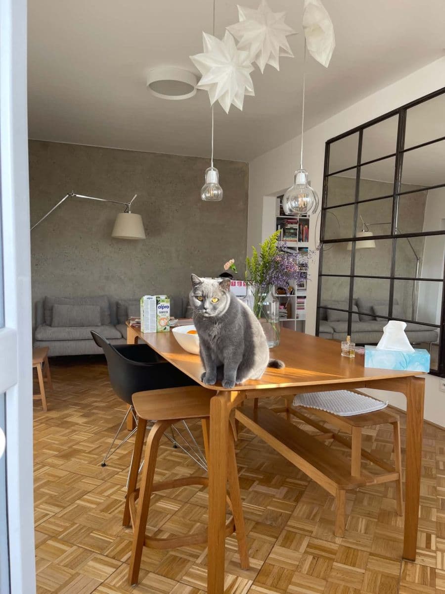 Prodej bytu 4+1 87 m², Ševcovská, Zlín, Zlínský kraj Prodej bytu 4+1 87 m², Ševcovská, Zlín, Zlínský kraj