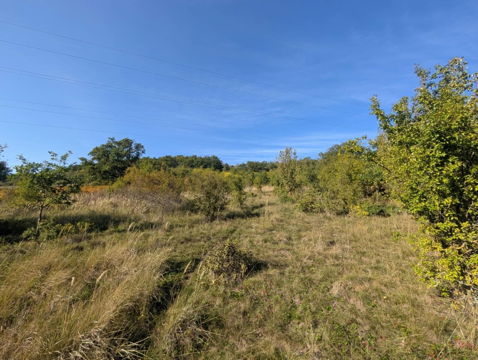 Prodej pozemku 22.542 m², Korno, Středočeský kraj Prodej pozemku 22.542 m², Korno, Středočeský kraj