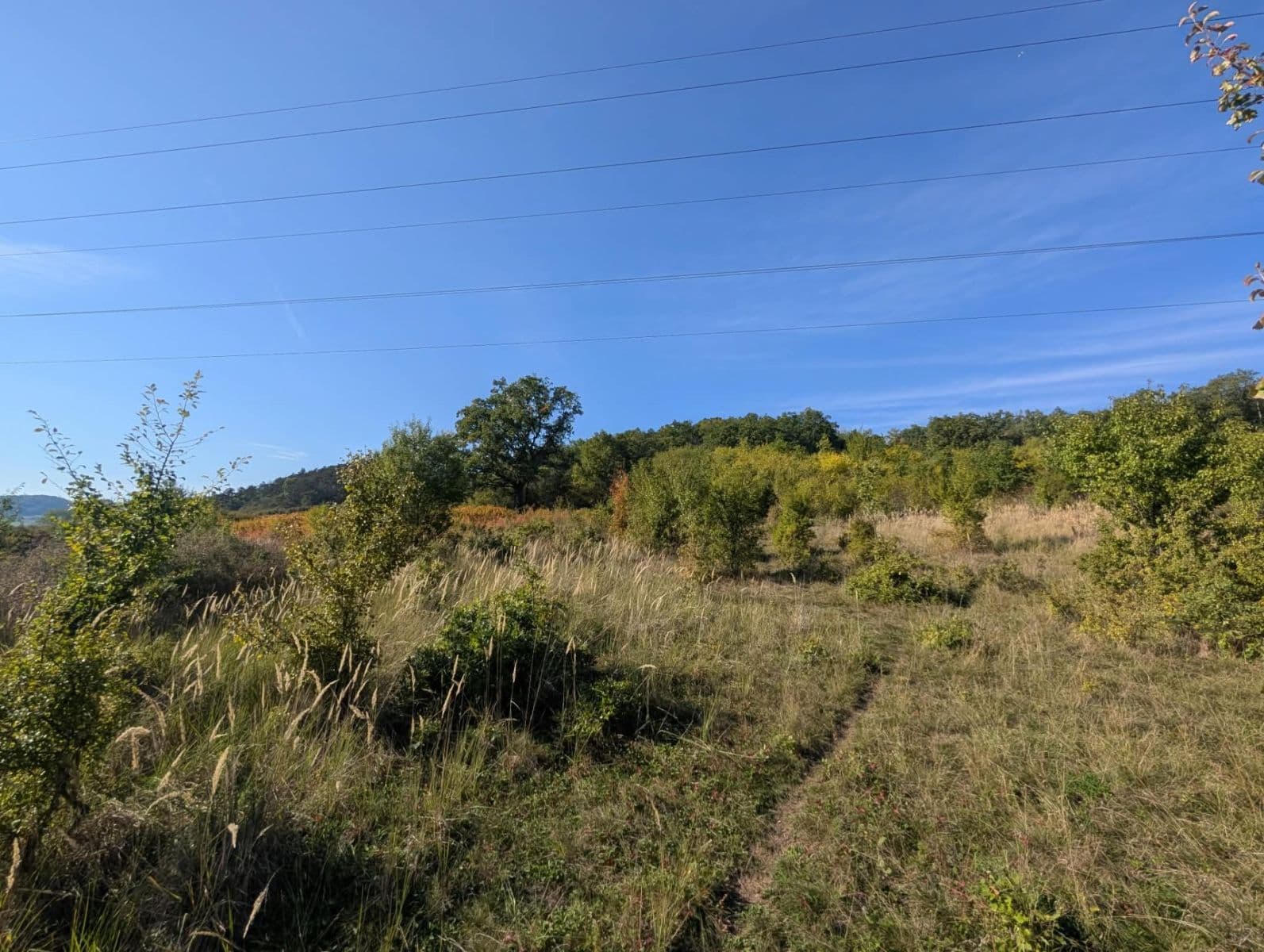 Prodej pozemku 22.542 m², Korno, Středočeský kraj Prodej pozemku 22.542 m², Korno, Středočeský kraj