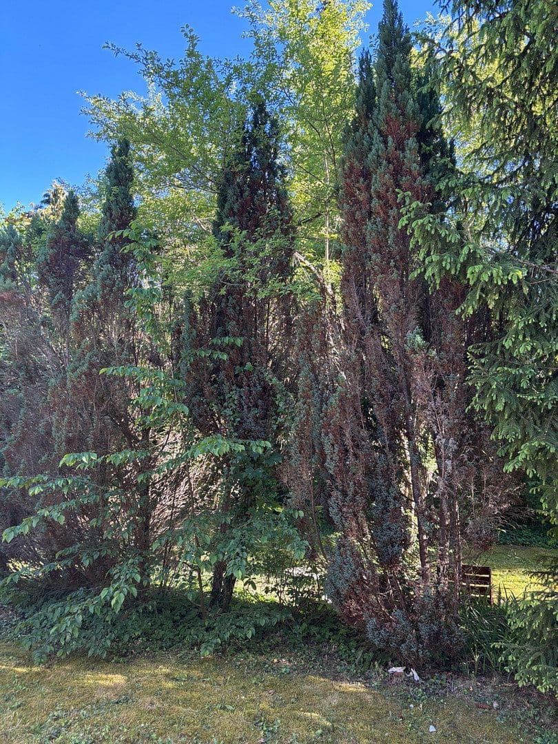 Pronájem bytu 5+1 125 m², Grünwald, Bavorsko Pronájem bytu 5+1 125 m², Grünwald, Bavorsko