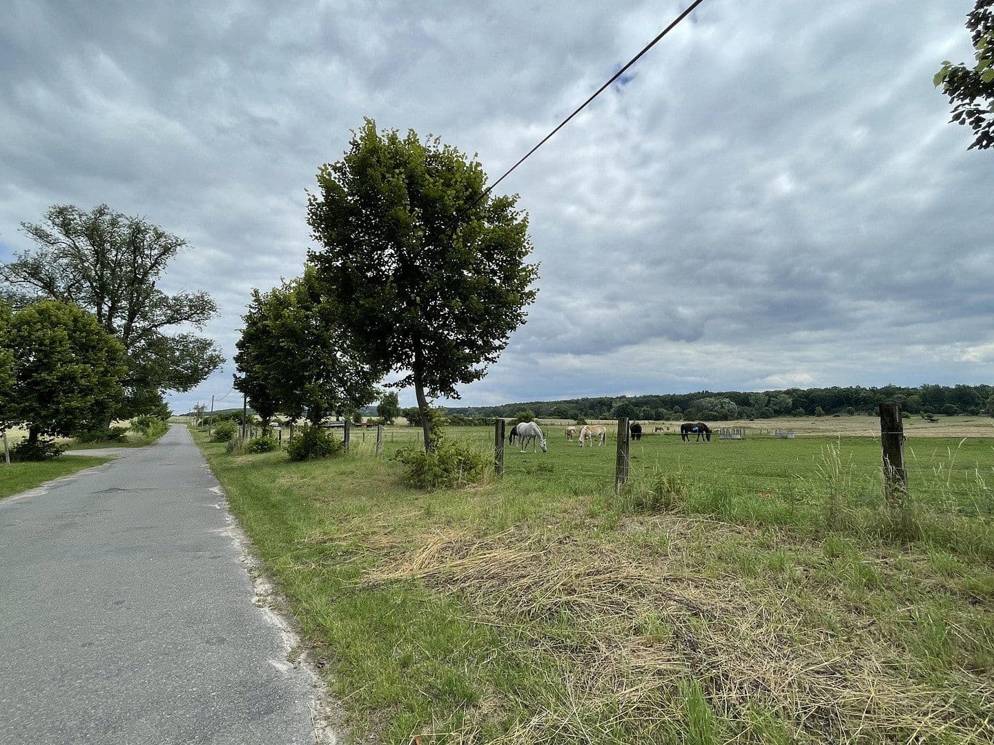 Prodej domu 94 m², pozemek 685 m², Michendorf, Braniborsko Prodej domu 94 m², pozemek 685 m², Michendorf, Braniborsko