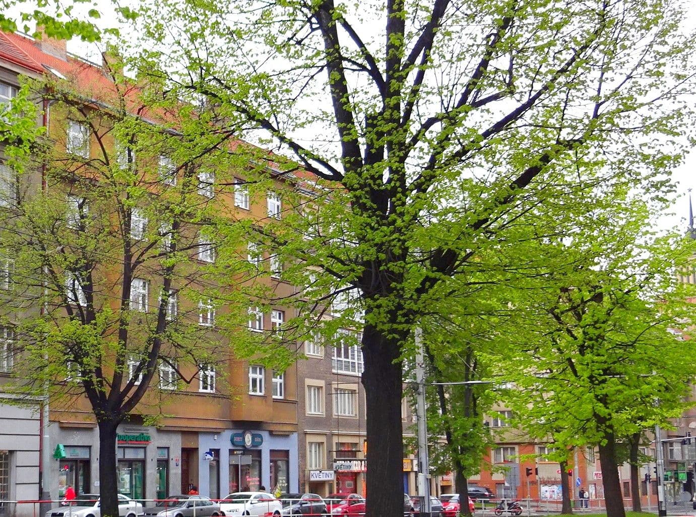 Pronájem bytu 2+kk 58 m², Jugoslávských partyzánů, Praha, Praha Pronájem bytu 2+kk 58 m², Jugoslávských partyzánů, Praha, Praha