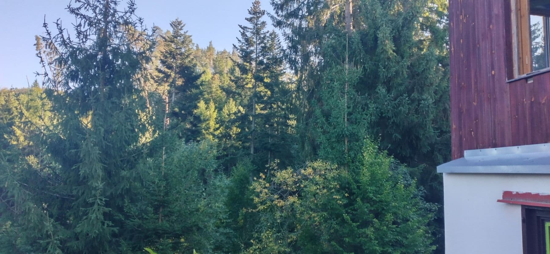 Prodej chaty, chalupy 90 m², pozemek 1.900 m², Letovice, Jihomoravský kraj Prodej chaty, chalupy 90 m², pozemek 1.900 m², Letovice, Jihomoravský kraj