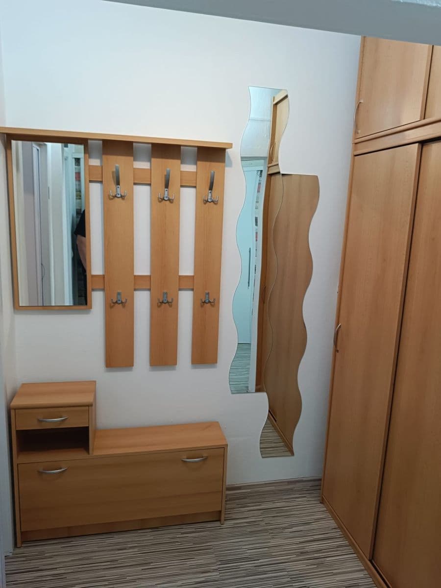 Pronájem bytu 2+kk 44 m², Bednaříkova, Brno, Jihomoravský kraj Pronájem bytu 2+kk 44 m², Bednaříkova, Brno, Jihomoravský kraj