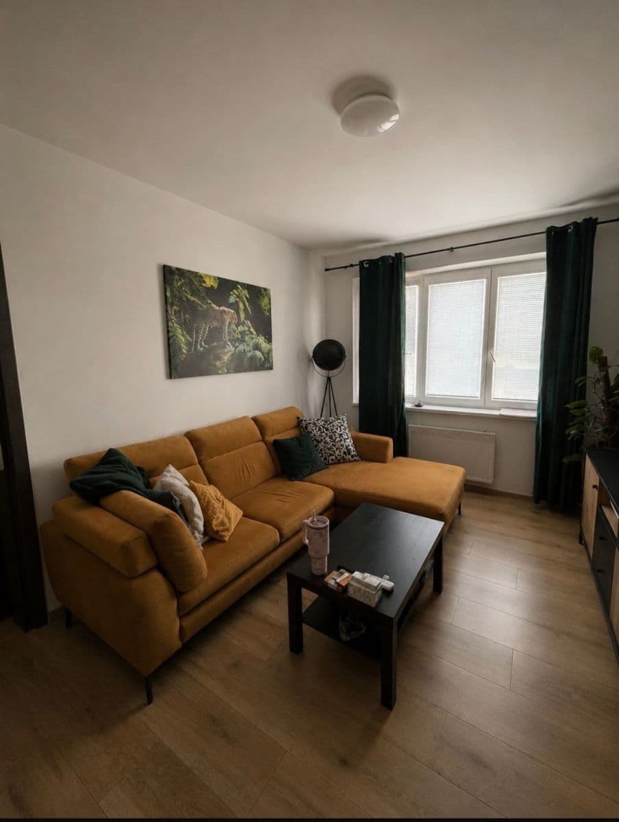 Pronájem bytu 2+1 55 m², Ludvíka Kuby, Březnice, Středočeský kraj Pronájem bytu 2+1 55 m², Ludvíka Kuby, Březnice, Středočeský kraj