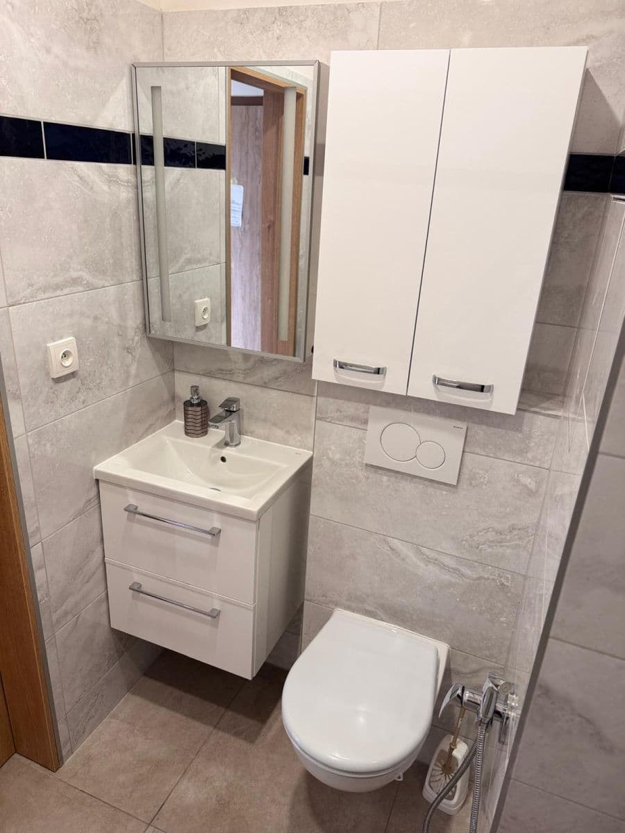 Pronájem bytu 2+1 50 m², Zdeňka Fibicha, Valašské Meziříčí, Zlínský kraj Pronájem bytu 2+1 50 m², Zdeňka Fibicha, Valašské Meziříčí, Zlínský kraj